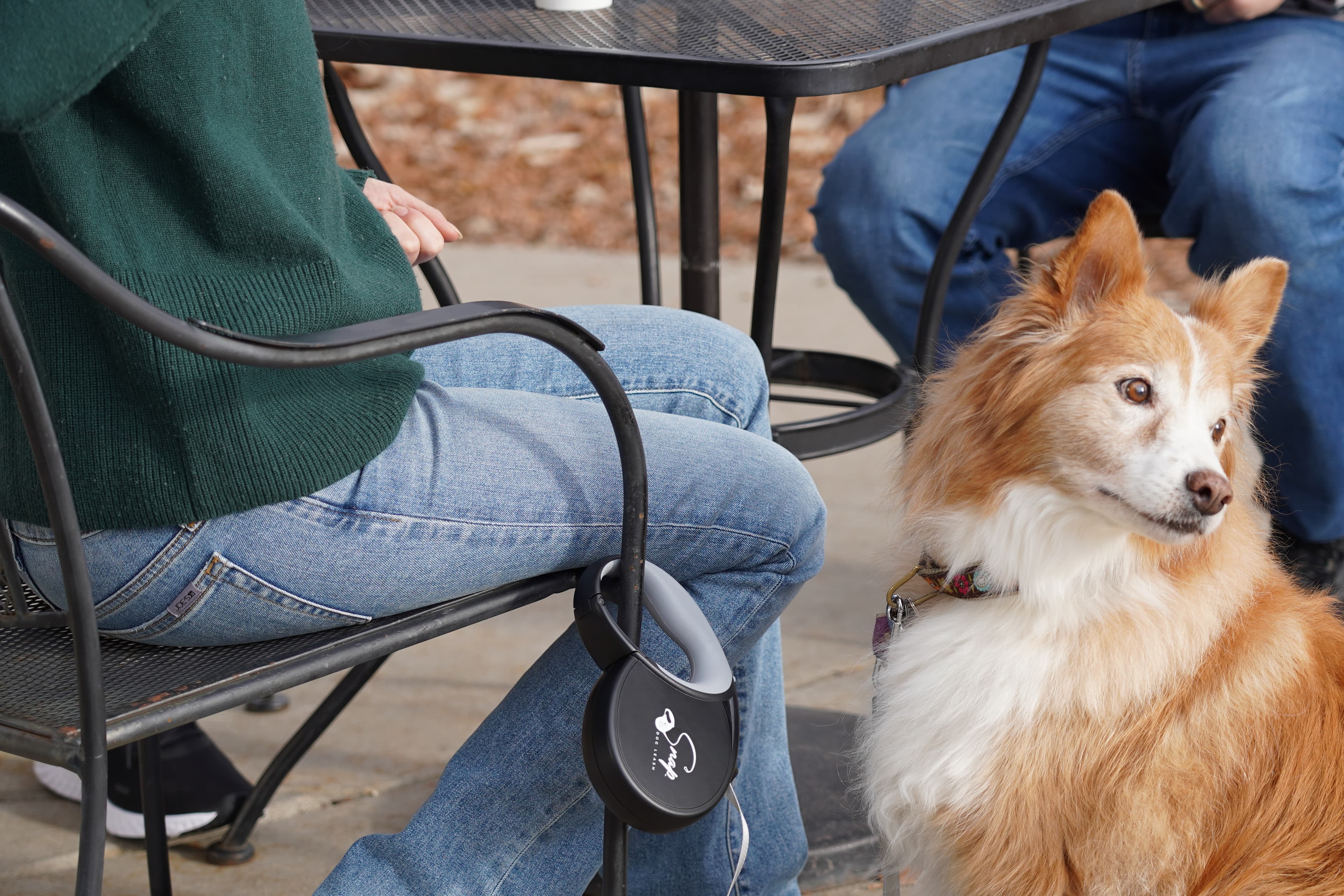 Dog relaxing at a dog-friendly brewery patio on a leash clipped to a chair