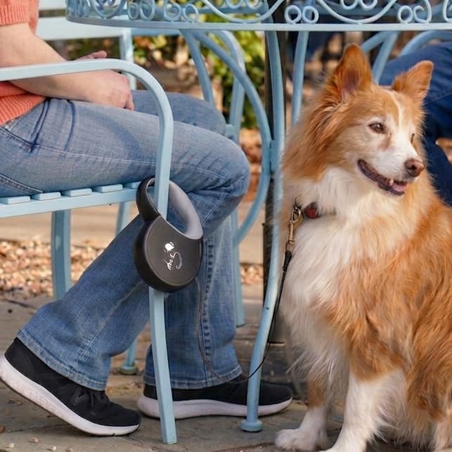 The best retractable dog leash with a built-in clip for hands-free convenience
