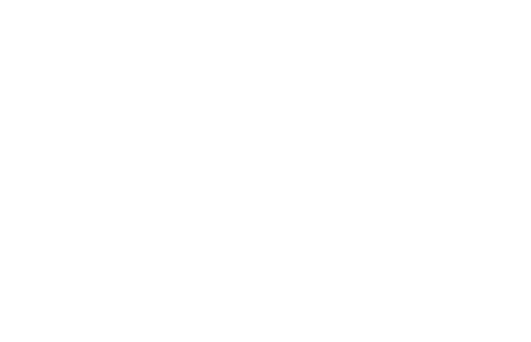 Snap Dog Leash